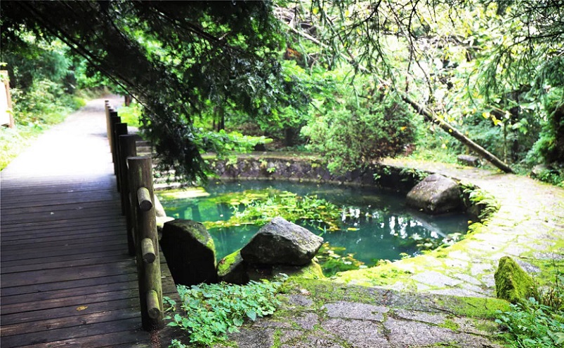 杭州旅游必去十大景点推荐一下,杭州看花好去处杭州网红景点