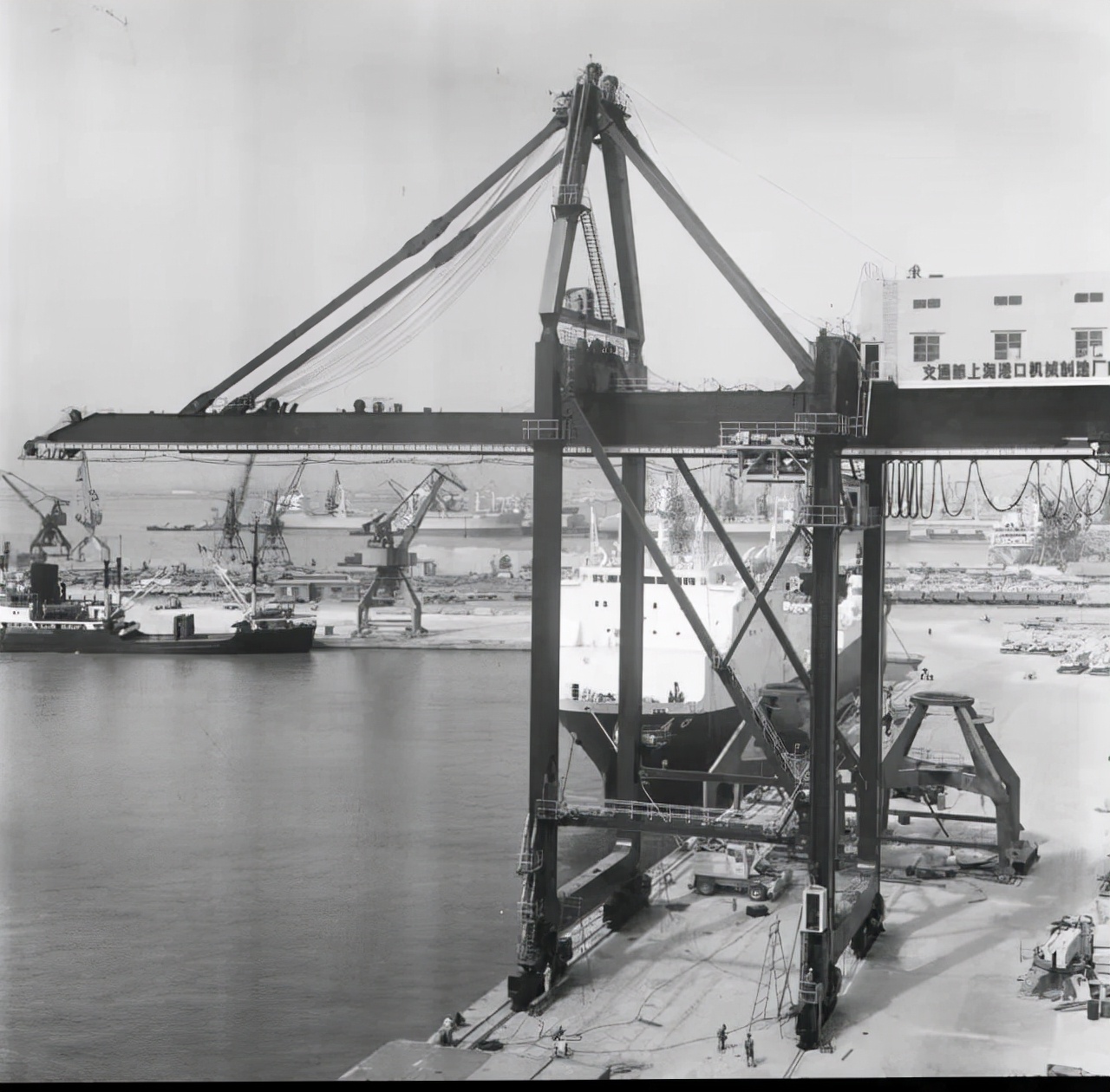 一周大事记全文,一周记事