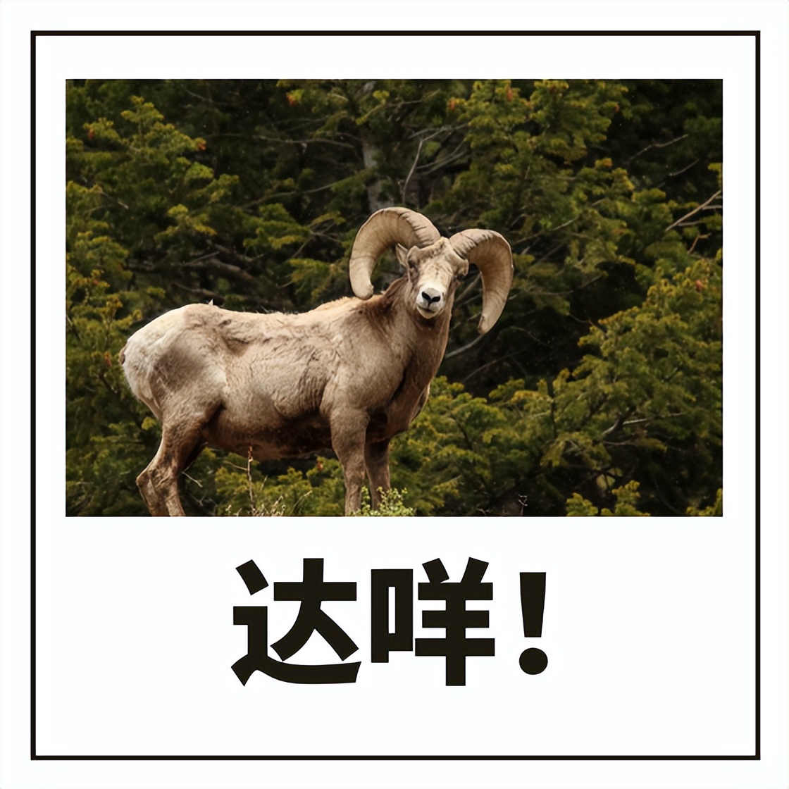 三方协议被违约,应届生三方协议被毁约赔偿标准