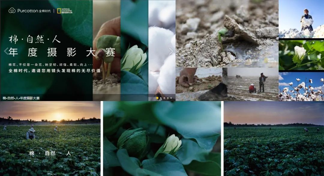 从一朵棉花做到年销量40亿+，全棉时代如何走出差异化路径？