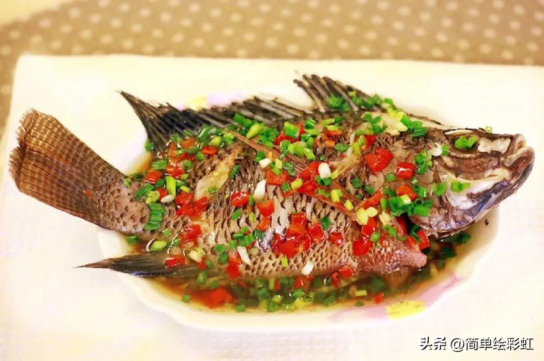 罗非鱼到底有多可怕,罗非鱼究竟有多可怕