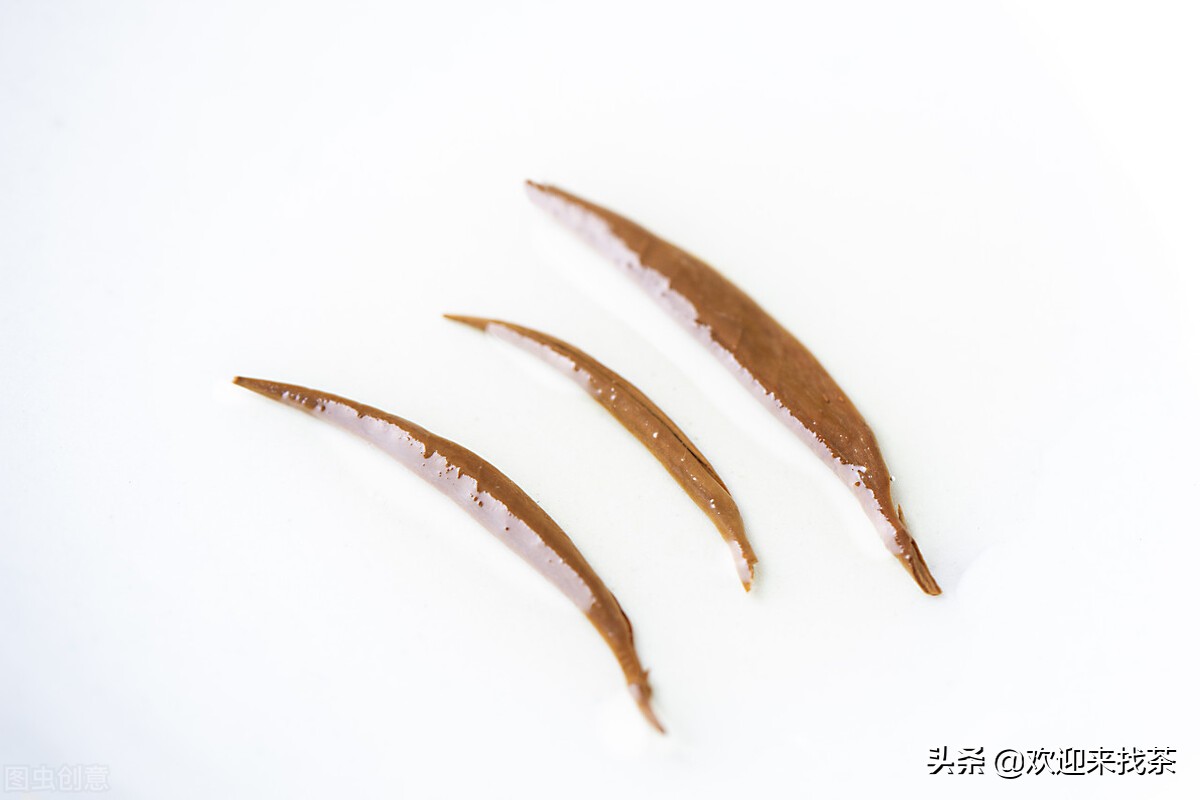 红茶和绿茶一起泡最好,绿茶和红茶可以一起泡着喝吗