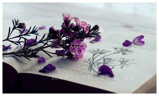 军婚离婚的真实经历,军婚在怎么样的情况下会离婚