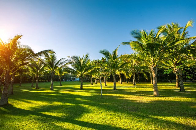 下半年转大运的运势,接下来几年运势大旺