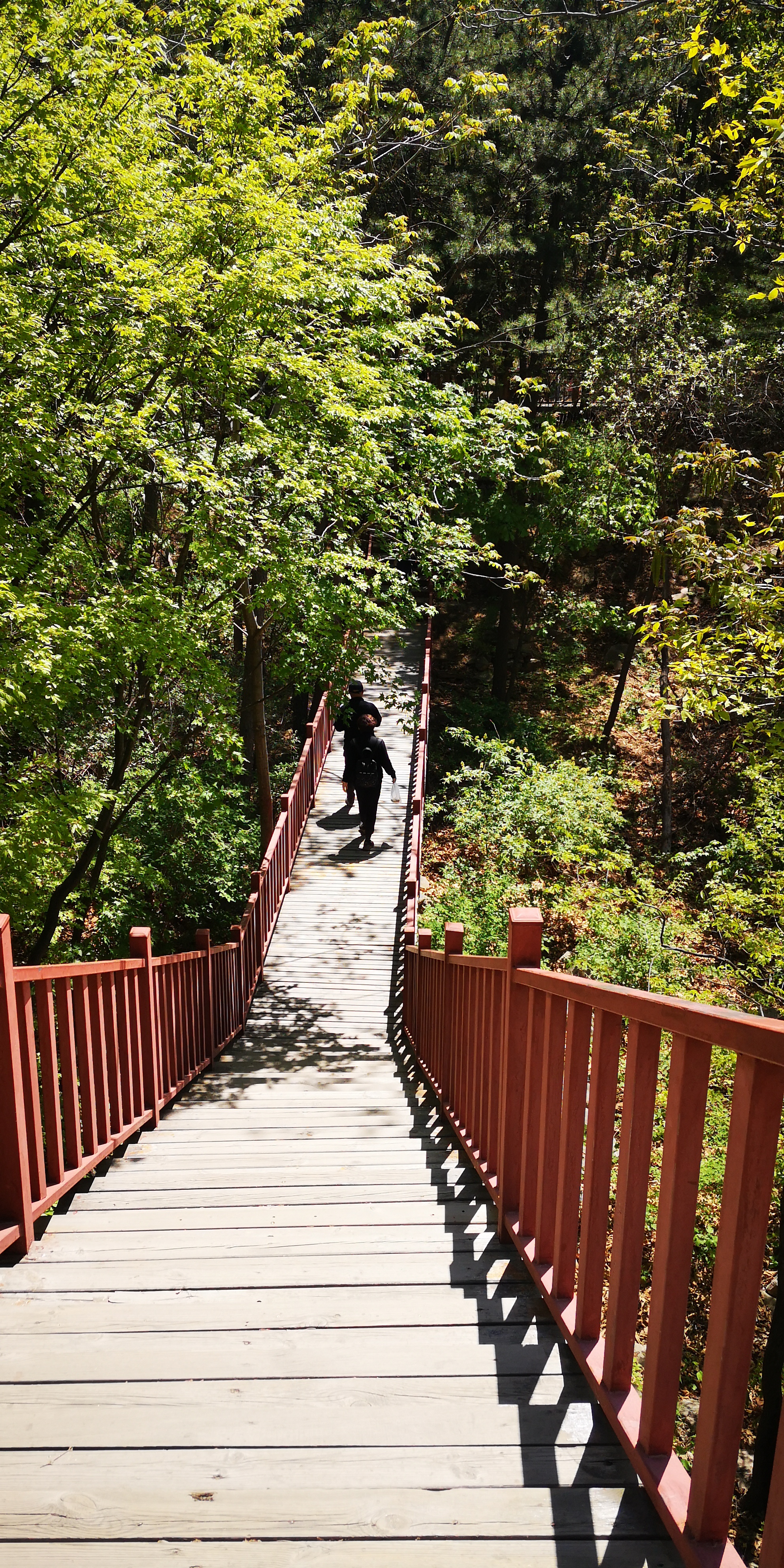 天津梨木台景区值得夏天去的地方,天津蓟县梨木台风景区路线