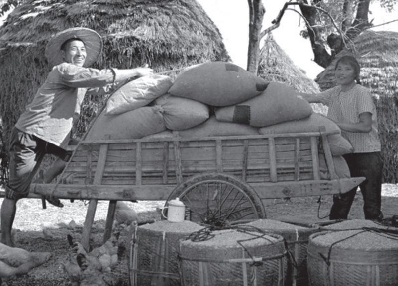 房市和投资哪个更赚钱,房市和楼市投资