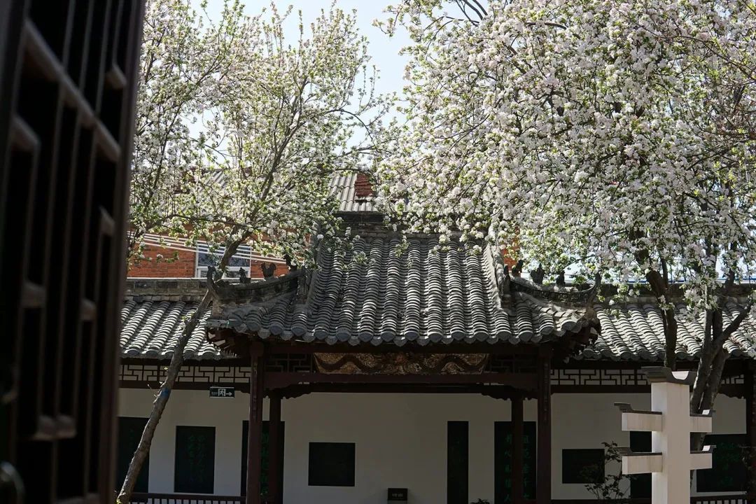 光山两天一晚上的旅游攻略,光山五一旅游路线图