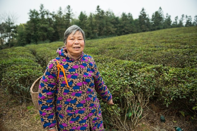 己所不欲勿施于人出自,己所不欲勿施于人深度解析