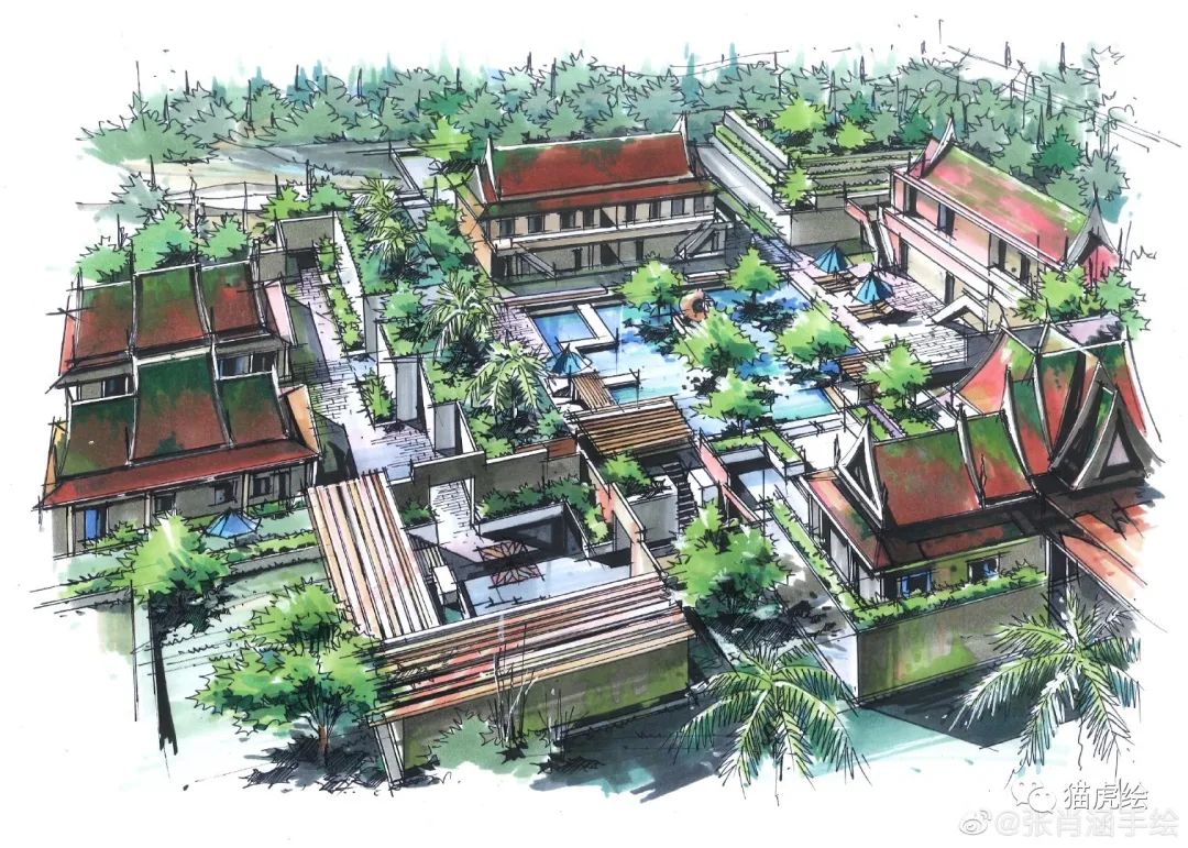 2022猫虎绘暑假手绘班招生简章「线上+线下」