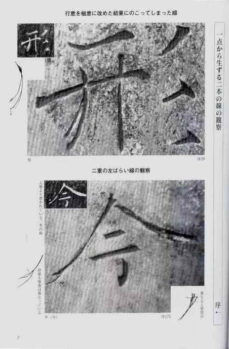 宸ョ瑪鐢绘潹鏅箟鐢诲唽,鏉滈箖鏉ㄦ櫘涔夊畬鏁寸増
