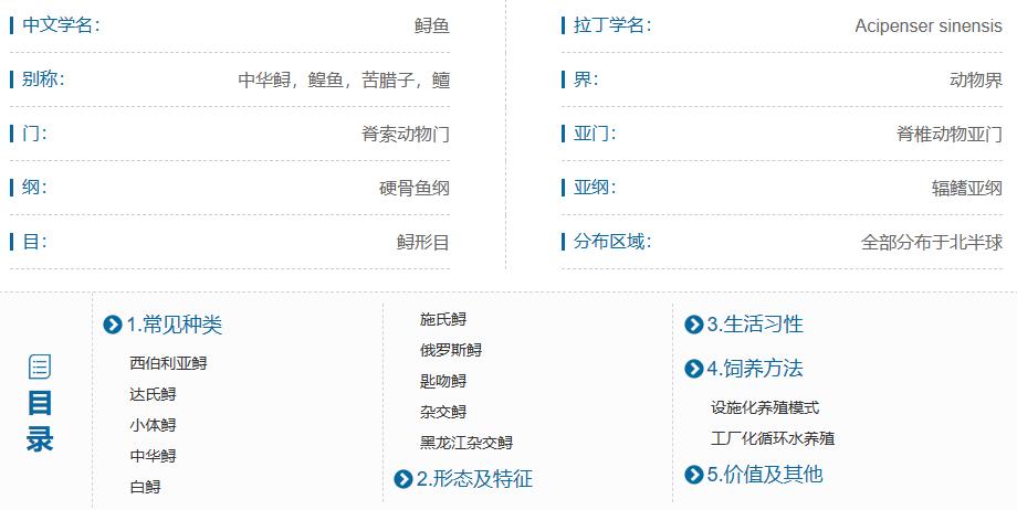 最好养的观赏鱼冷水鱼有哪些中型,冷水鱼有哪些观赏鱼比较好看