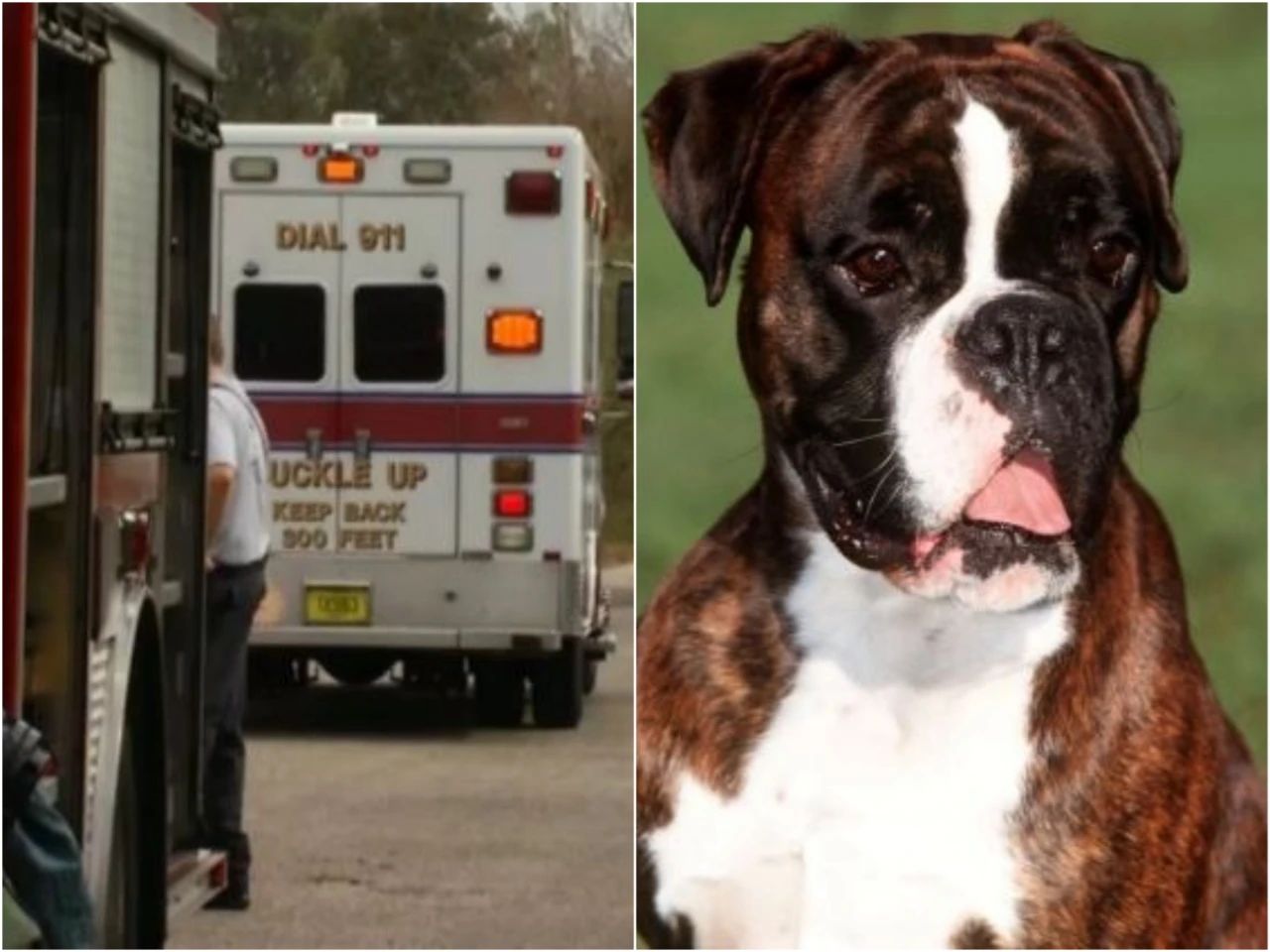 十个最离奇的死亡,绝地求生匪夷所思死法