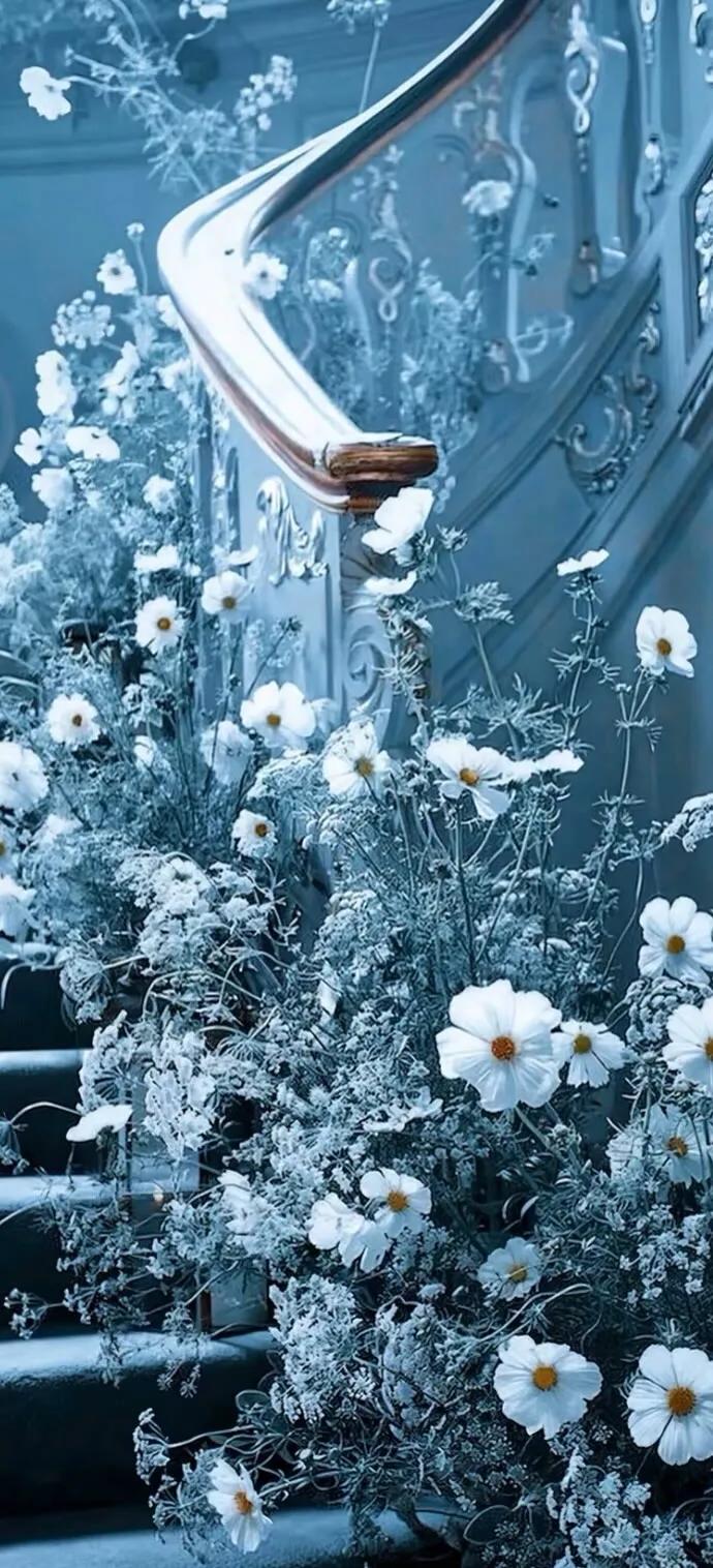 上班励志高清壁纸4k全屏电脑壁纸,黑鲨壁纸动态壁纸高清全屏90帧