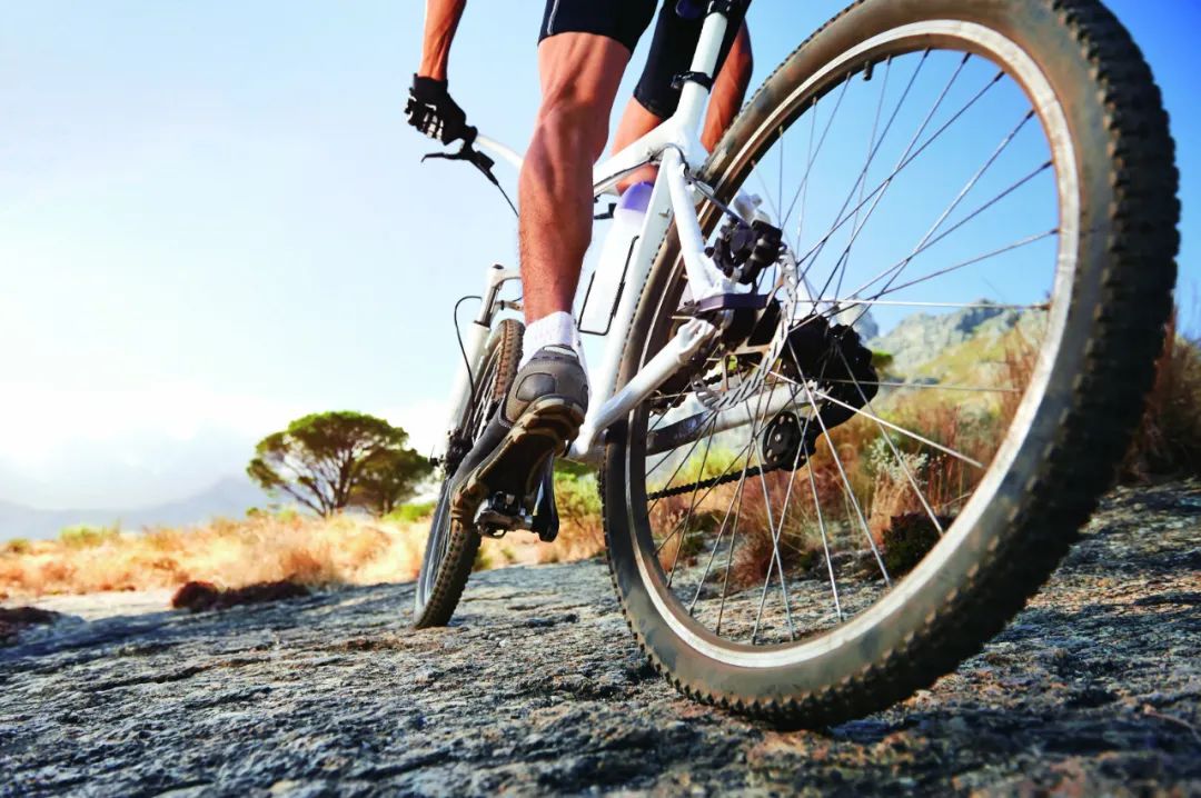 新手骑车买什么车,新手骑车指南篇