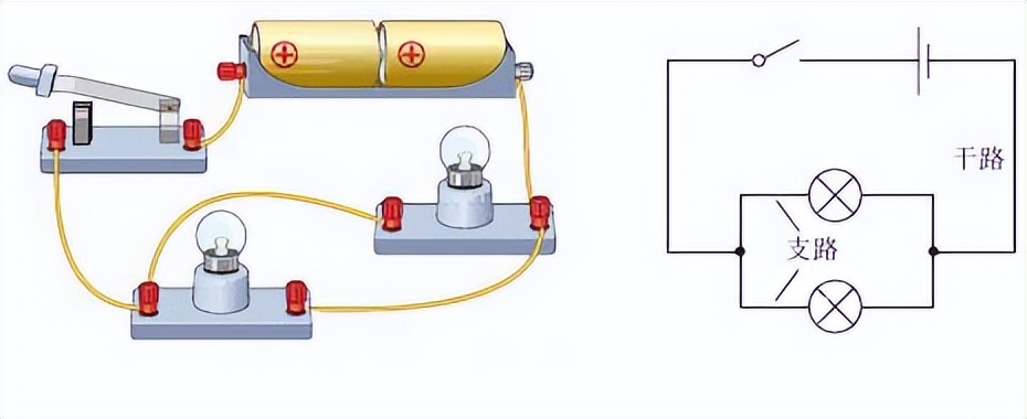 科学知识大全小学生必背,科学知识大全全集