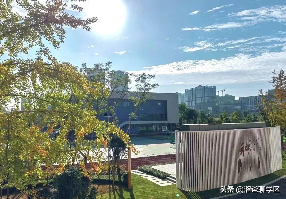 提前一年落户能读桂雅路小学吗,提前一年落户的学校