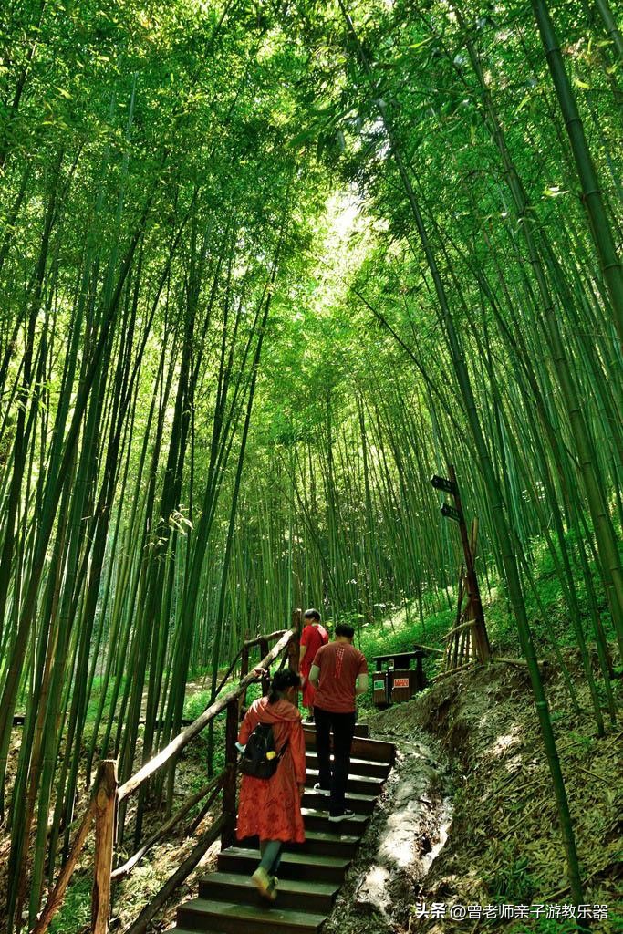 西安2023旅游攻略,2023年西安必去景点