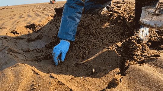 艮山门在拱宸桥北面,杭州艮山门水果市场简介