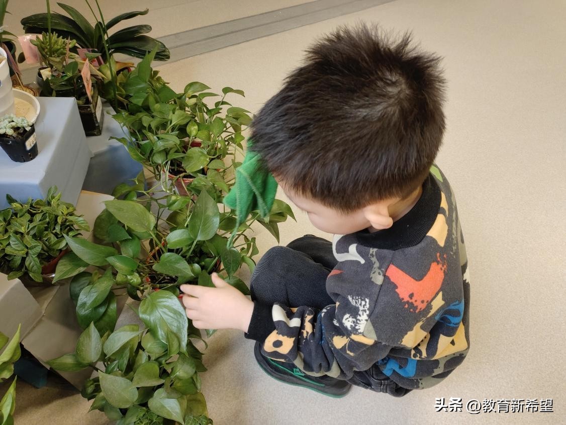 二十四节气雨水中班活动,二十四节气雨水幼儿园大班活动