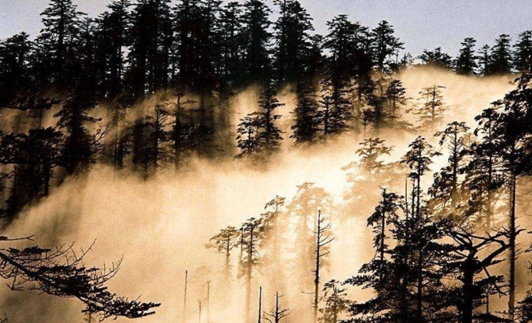 古代军队死伤率,古代军队征战云南