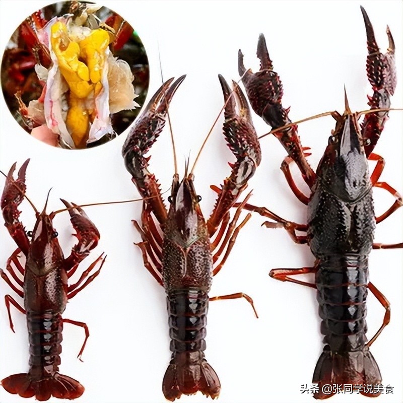 小龙虾怎么烧出又辣又麻那么入味,小龙虾怎么做颜色红亮