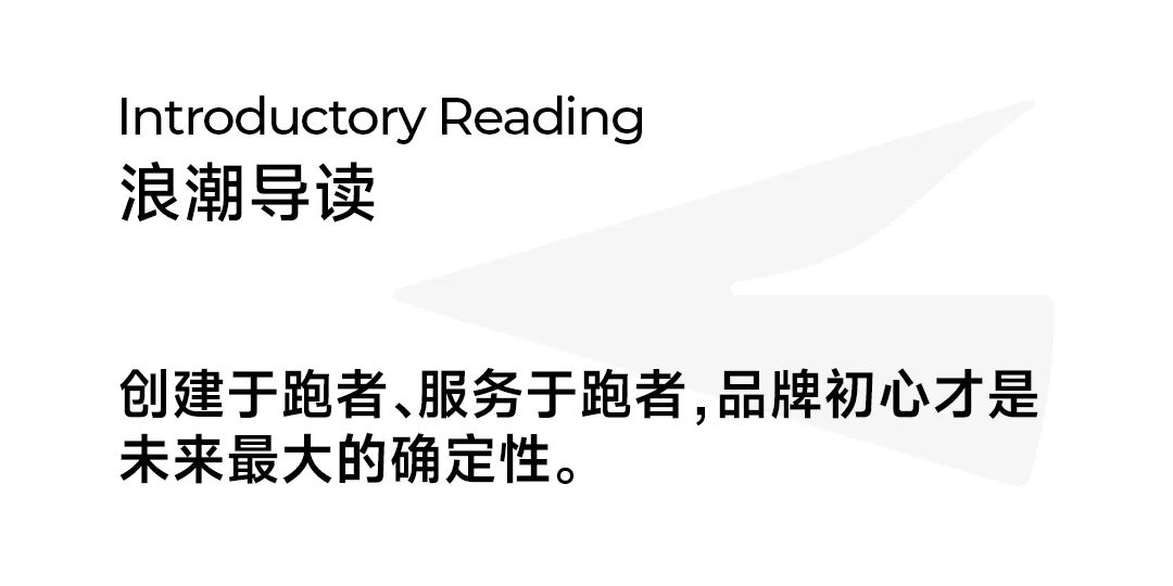 从阿尔卑斯山脉滑雪下来,从阿尔卑斯山飞下去