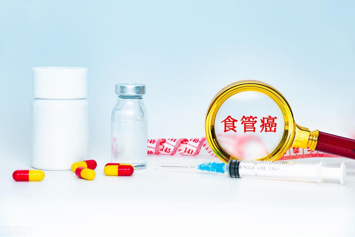 16s肠道宏基因组检测,16s测序揭示纵向变化