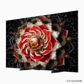 体育迷们,体育迷狂欢节是什么