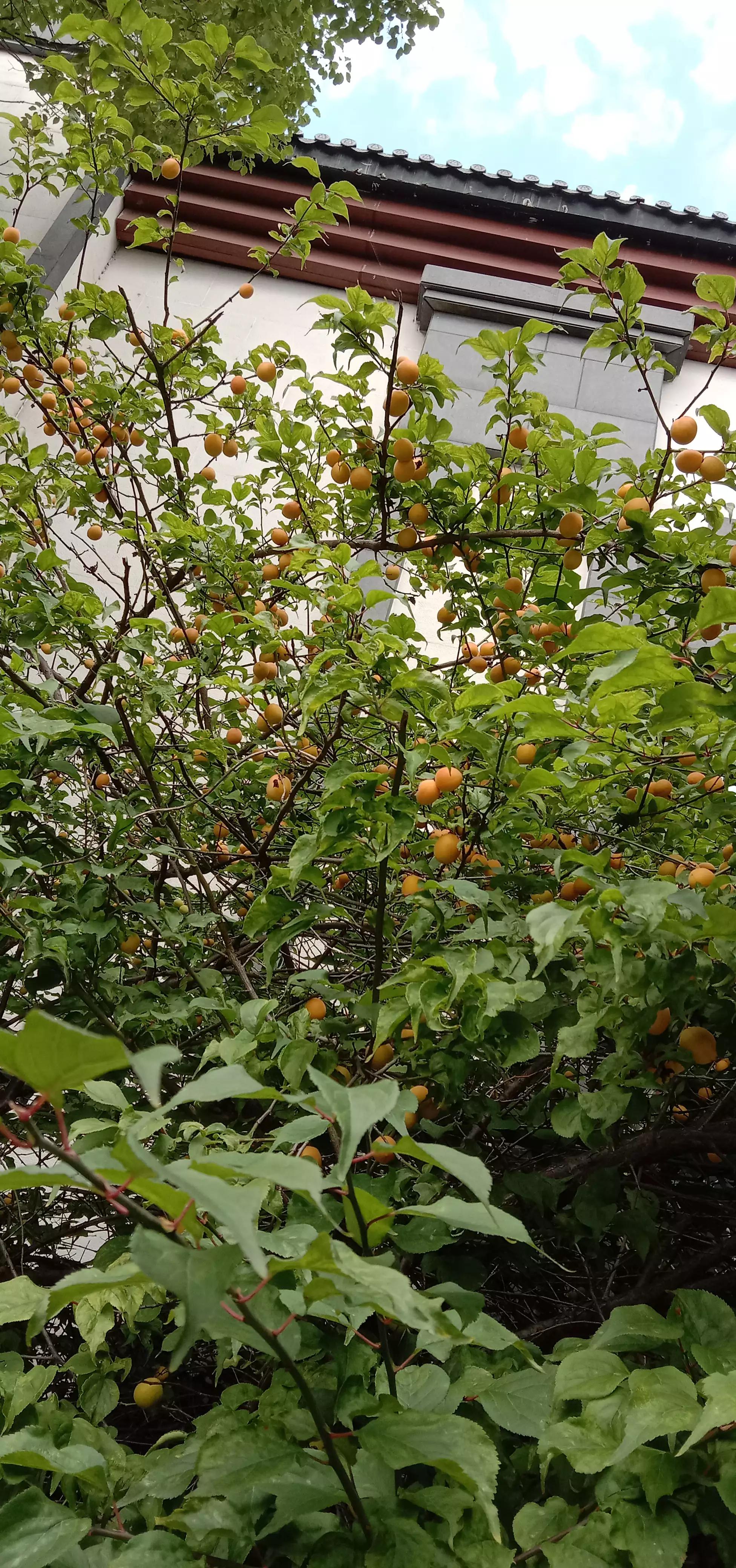 深圳往事1-13第二部分阅读,深圳往事2免费完整版