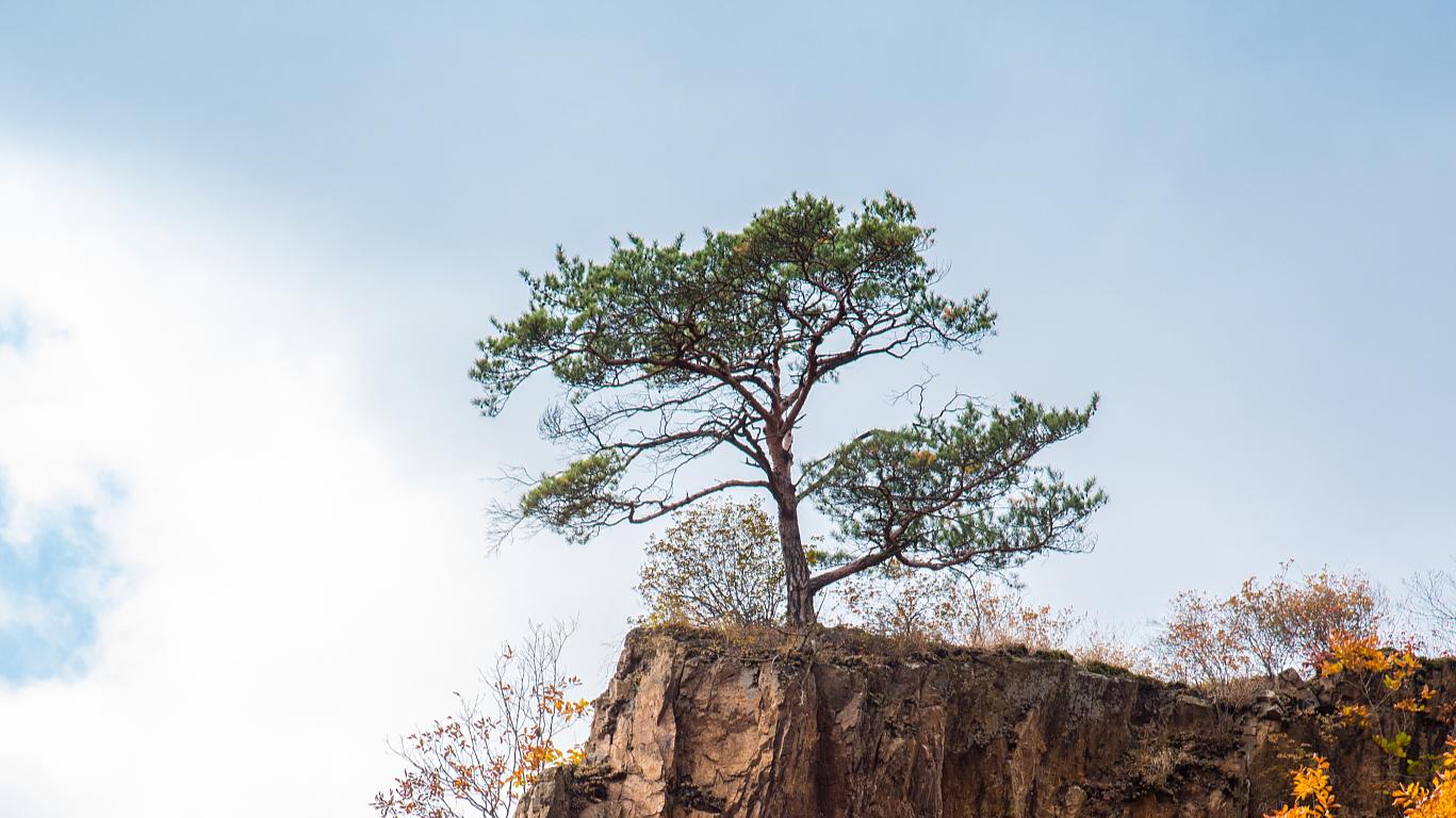 元好问为官避世,元好问以诗存史