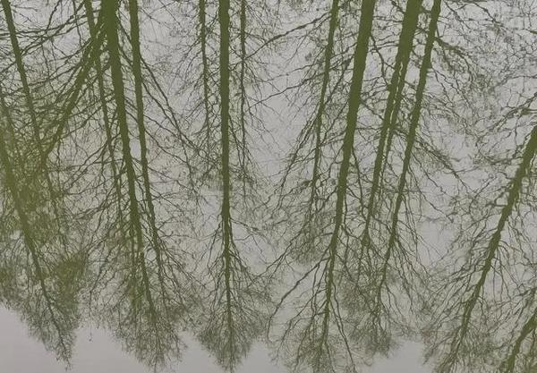 最便宜的1t内存手机,最便宜的1t手机二手