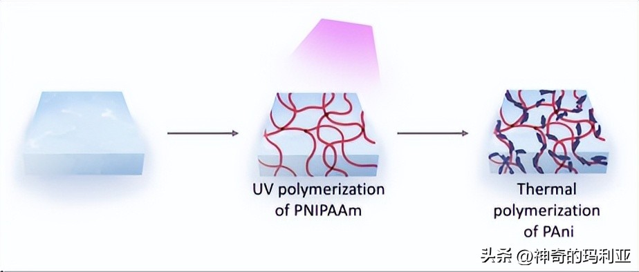 磁性响应水凝胶,光热效应水凝胶