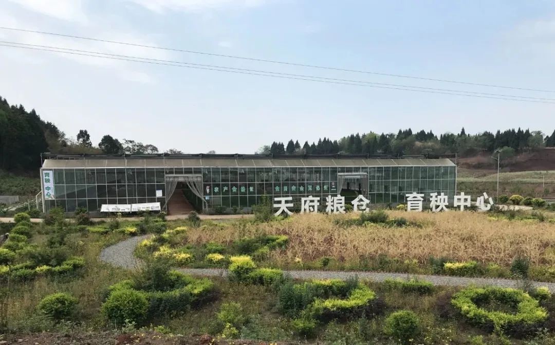 携手并进脱贫攻坚,携手乡村振兴共同富裕