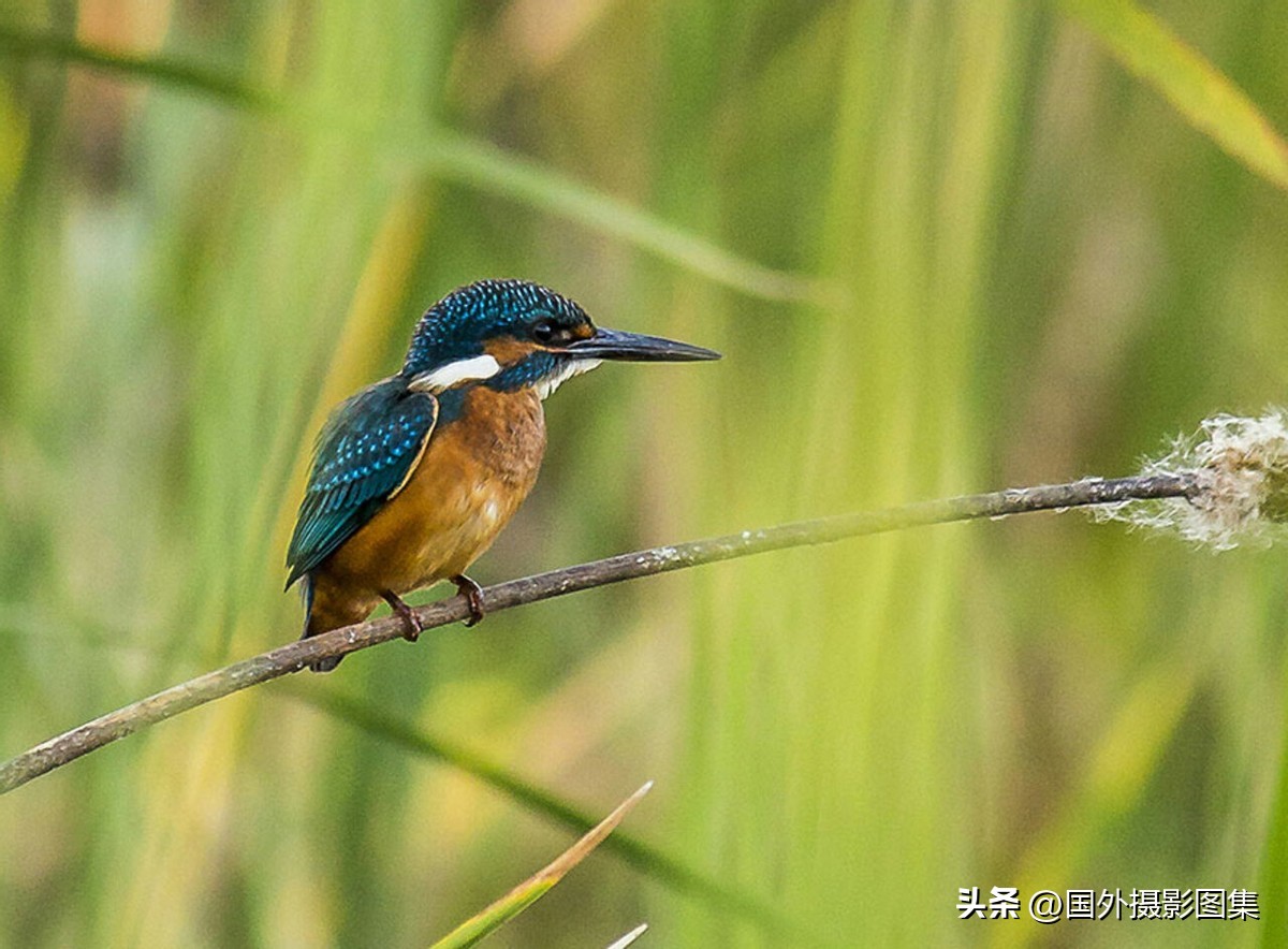 世界顶级唯美人像摄影师,世界顶级自然摄影师作品