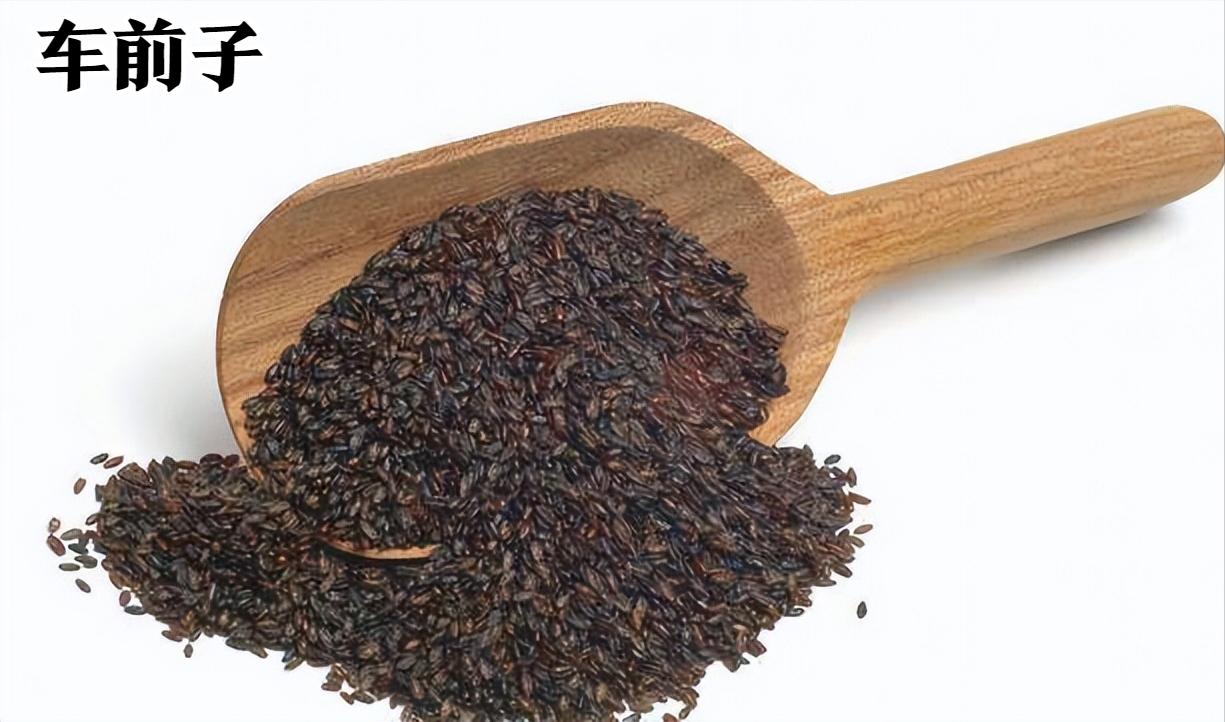 鑲鹃槼涓嶈冻鍛介棬鐏“鍚冧粈涔堜腑鎴愯嵂,鑴捐偩涓よ櫄鍛介棬鐏“鍚冧粈涔堜腑鎴愯嵂