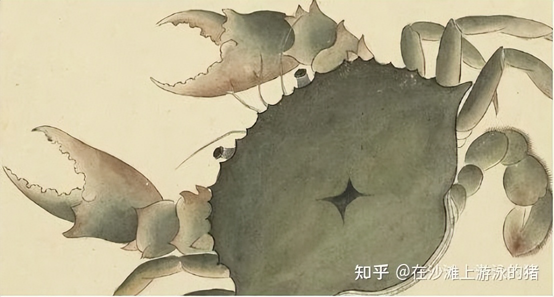 舟山活鲜梭子蟹,舟山鲜活梭子蟹