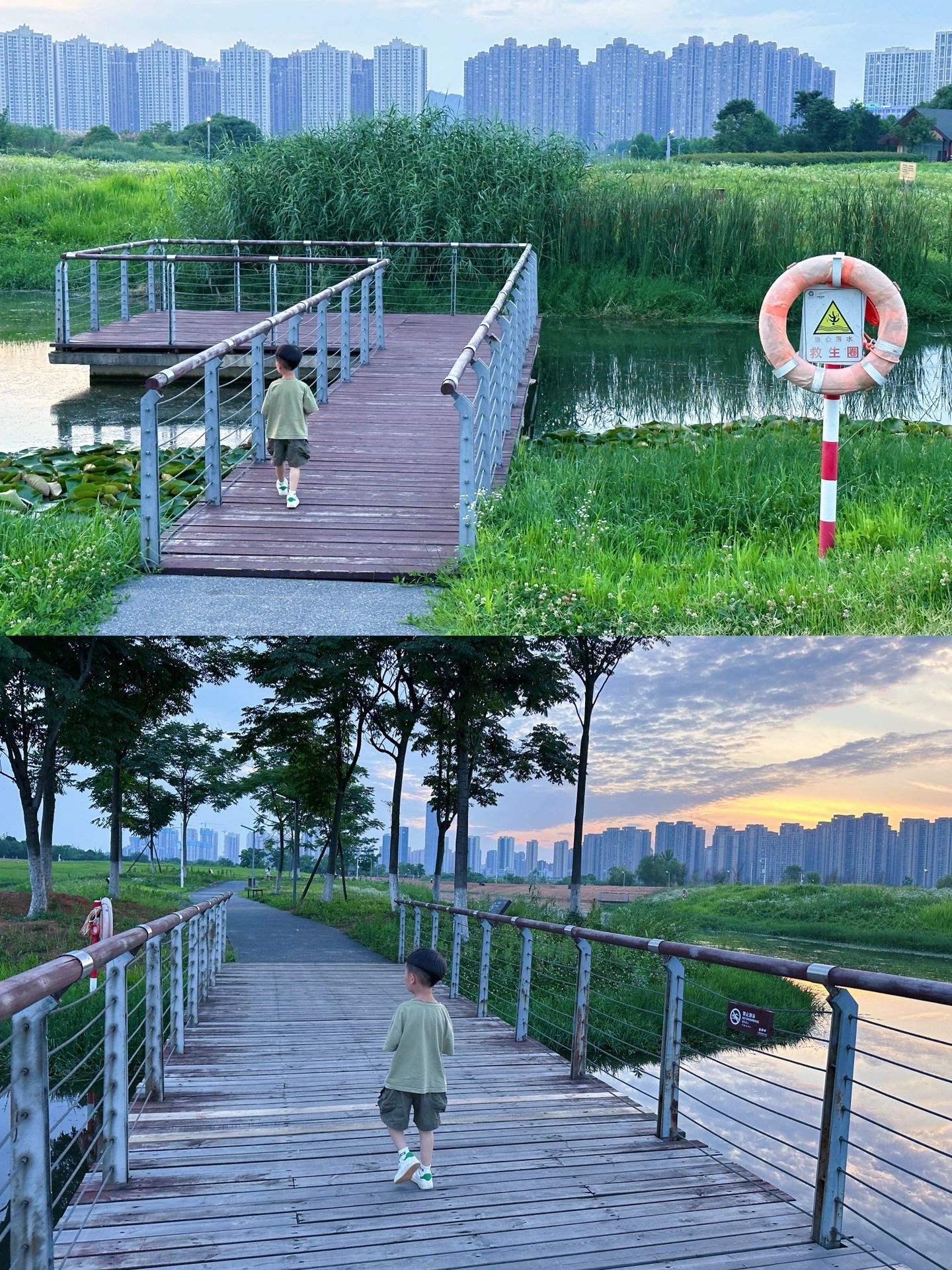 长沙梅溪海洋公园游玩攻略,长沙格桑花海旅游攻略