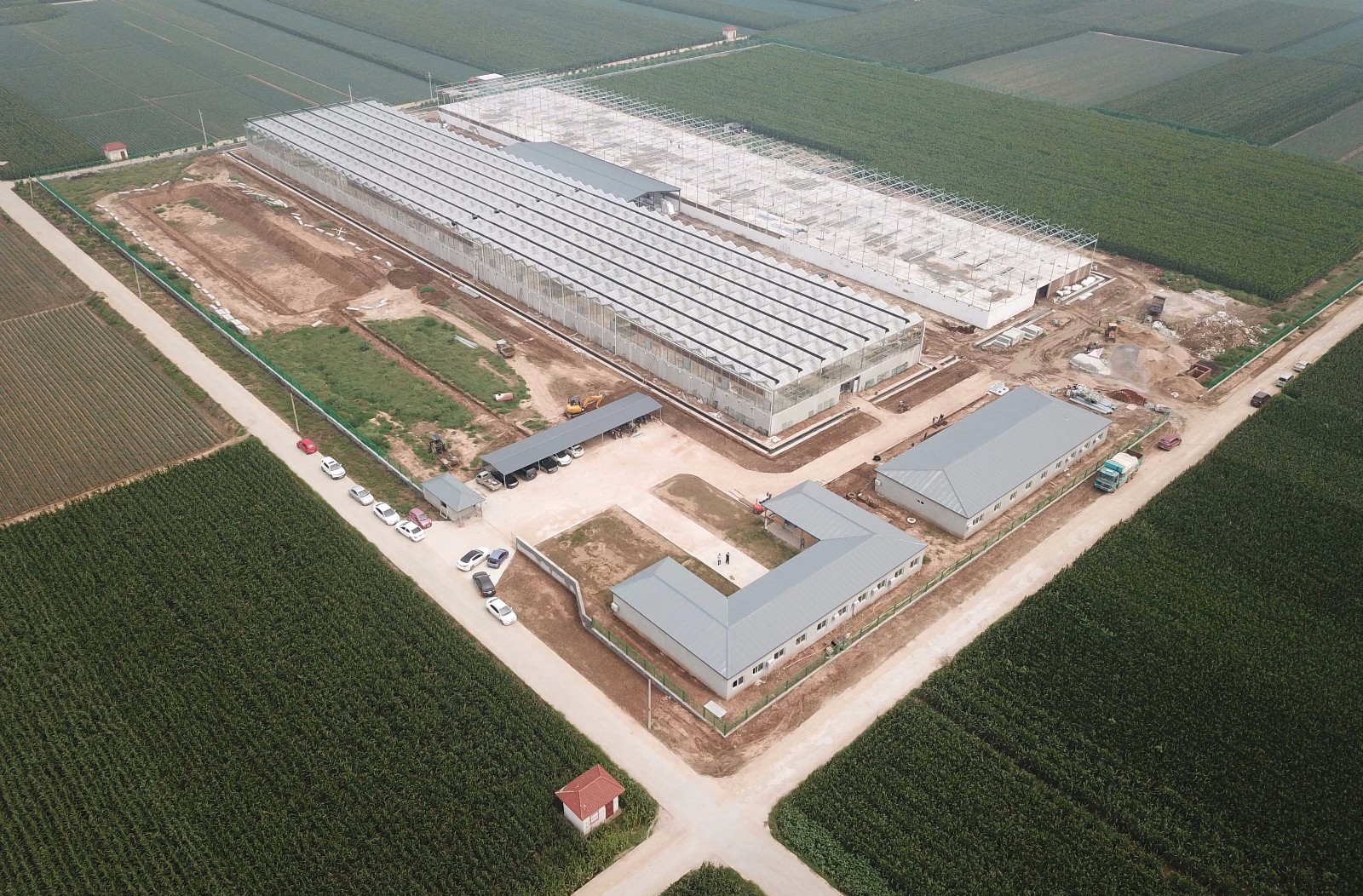 餐厨垃圾养殖蟑螂怎么拿补贴,山东养殖蟑螂解决餐厨垃圾