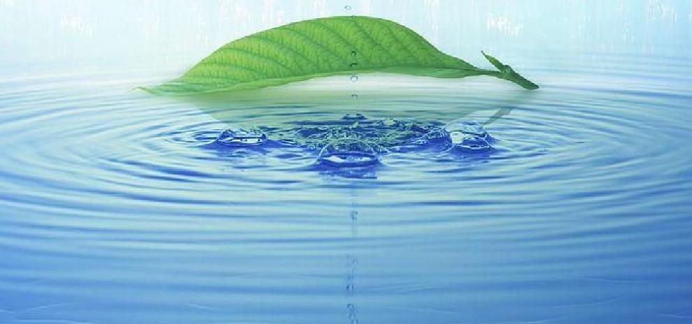 尿尿在马桶会触发马拉高尼效应吗,往开水里尿尿会发生什么