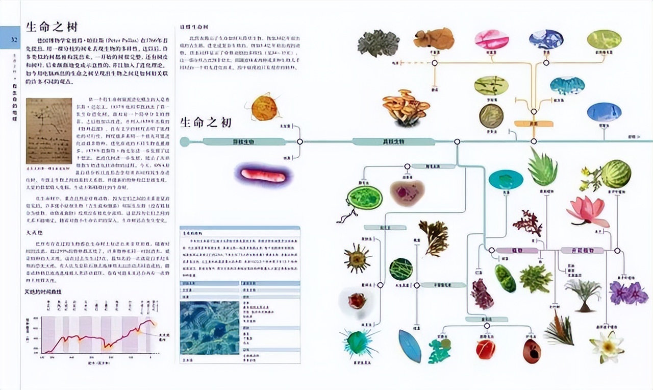 新东方直播间董宇辉录屏,新东方直播间董宇辉讲英语