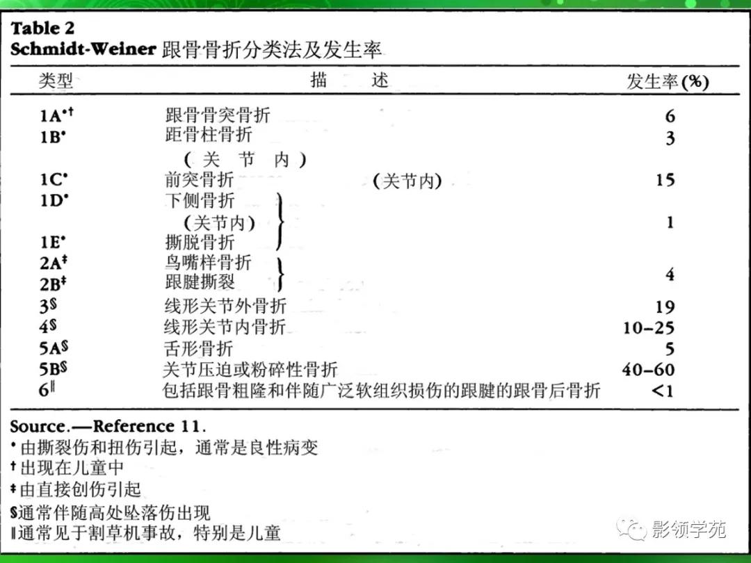 正常跟骨影像图,跟骨正常与变异影像表现图片
