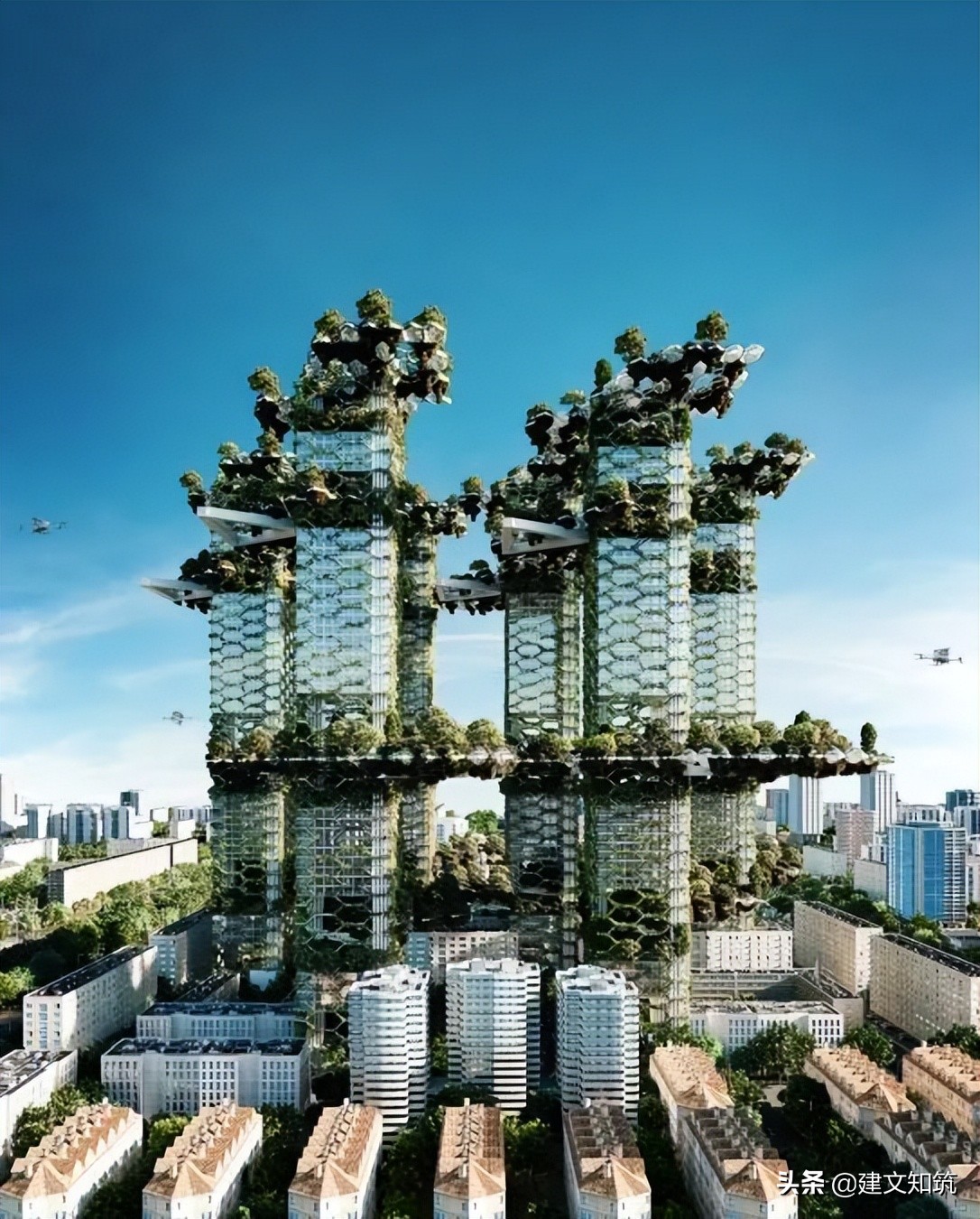 waf2023世锦赛,waf国内排名