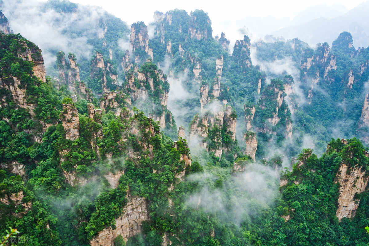 中国十大最好玩的核桃,中国十大最好玩的水上乐园