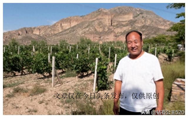 10年前，赵薇用3640万买下法国一个酒庄，每年卖出5万多瓶