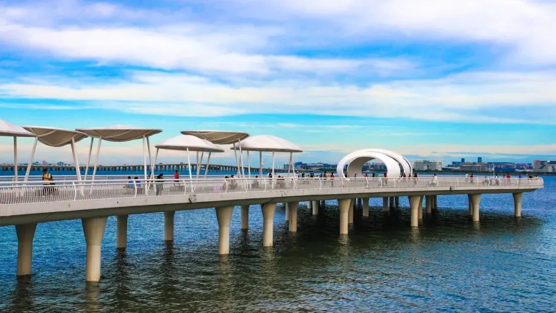 赶海圣地厦门,厦门周边赶海的最佳地点