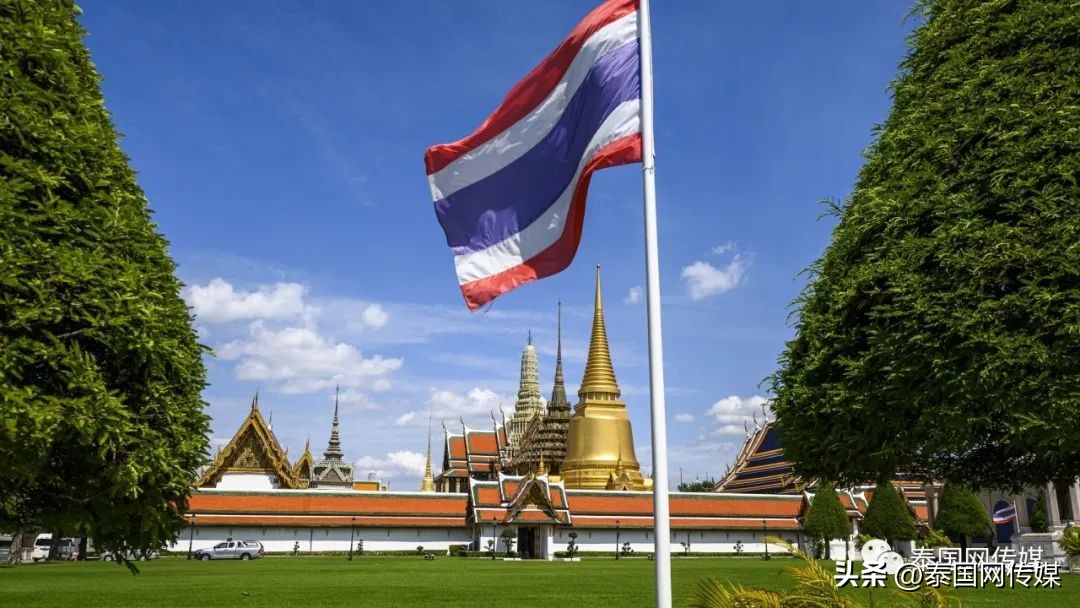 近期回泰国打拼的中国人，是在四处碰壁，还是在“大赚特赚”？