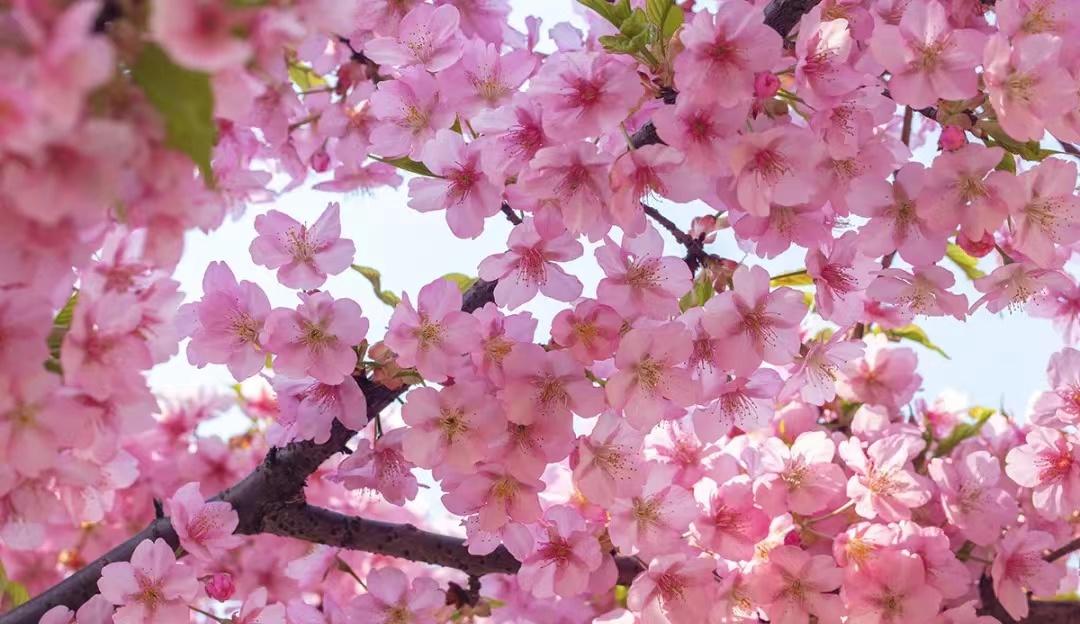 疫情隔离期，成就了一个高中孩子和母亲的和解