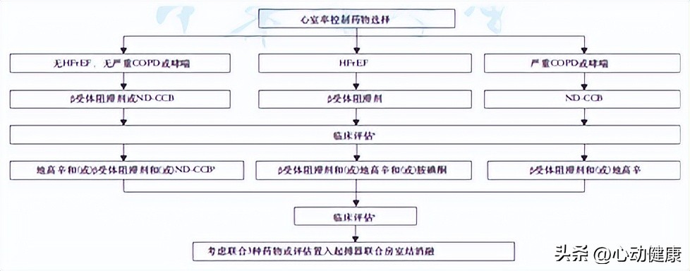 心房颤动可以作为诊断吗,心房颤动护理诊断及护理措施