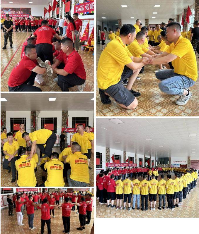 迪斯科集团,迪斯科集团公司