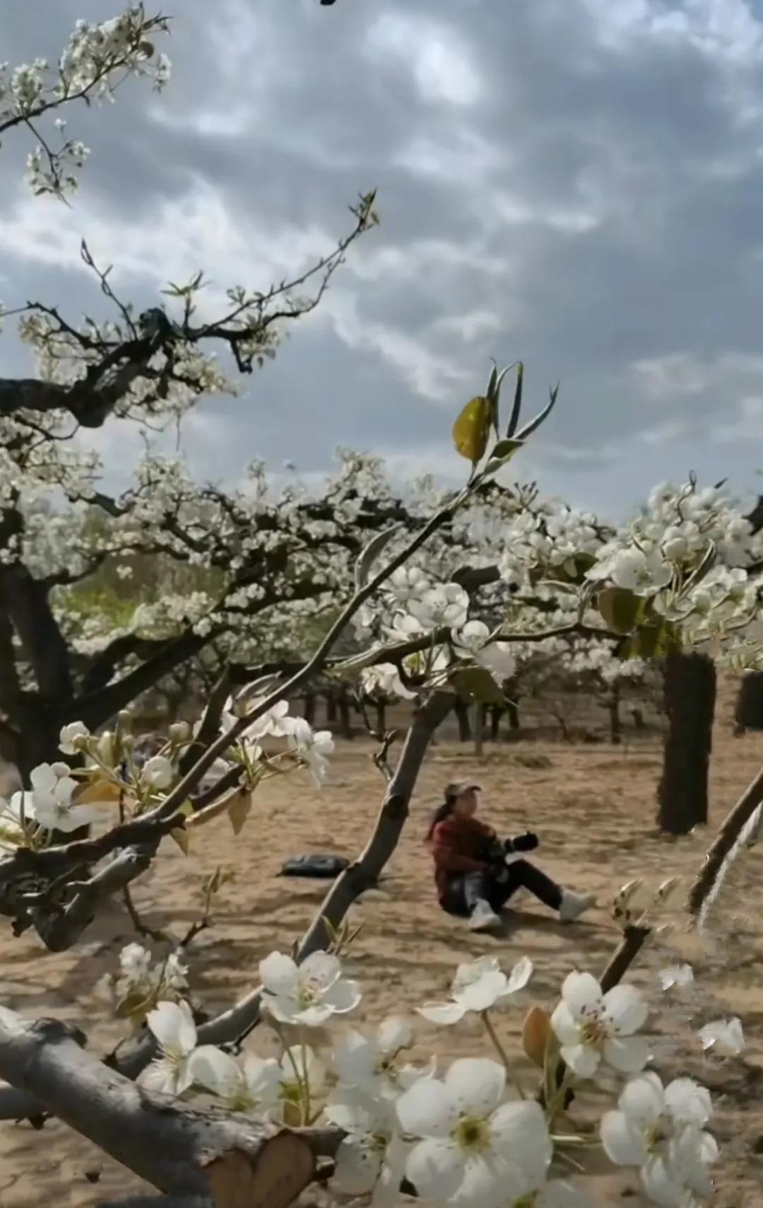 “大众创业”杀身成仁，不声不响，为社会做了一件伟岸的大事件！